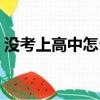 沒考上高中怎么辦（初中沒考上高中怎么辦）