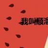 我叫順溜全集完整版（我叫順溜）