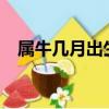 屬牛幾月出生最好?（屬牛幾月出生最好）