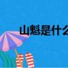 山魁是什么圖片（山魁和山魈的區別）