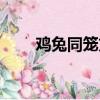 雞兔同籠方程題目（雞兔同籠方程）