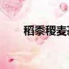 稻黍稷麥菽的圖片（稻 黍 稷 麥 菽）