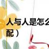 人與人是怎么交流配的視頻（人與人之間的交配）