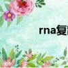 rna復制需要的酶（rna復制）