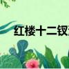 紅樓十二釵演員名單（紅樓十二釵典評）