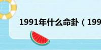 1991年什么命卦(1991年什么命)