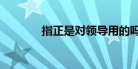 指正是對領導用的嗎(指正)