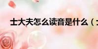 士大夫怎么讀音是什么(士大夫怎么讀)