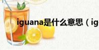iguana是什么意思(ig是什么意思)