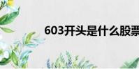 603開頭是什么股票(603)