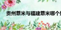 貴州薏米與福建薏米哪個好(貴州薏米)