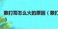 散打哥怎么火的原因(散打哥是怎么紅起來的)
