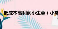 低成本高利潤小生意(小成本高利潤行業)