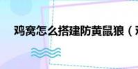 雞窩怎么搭建防黃鼠狼(雞窩怎么搭建)
