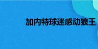 加內特球迷感動狼王(加內特)