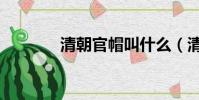 清朝官帽叫什么(清朝官帽)