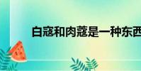白寇和肉蔻是一種東西嗎(白寇)