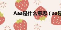 Aaa是什么意思(aa是什么意思)