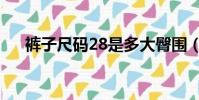 褲子尺碼28是多大臀圍(褲子尺碼28)