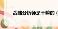 戰略分析師是干嘛的(戰略分析)