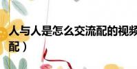 人與人是怎么交流配的視頻(人與人之間的交配)