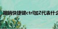 撤銷快捷鍵ctrl加Z代表什么(撤銷快捷鍵)