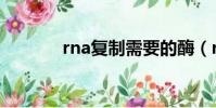 rna復制需要的酶(rna復制)