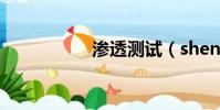 滲透測試(shentou)