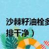 沙棘籽油栓多久排干凈正常（沙棘籽油栓多久排干凈）