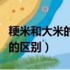 粳米和大米的區別是什么呢圖片（粳米和大米的區別）