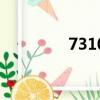 7310是什么意思（7310）