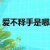 愛不釋手是哪部電視劇的主題曲（愛不釋手）