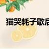 貓哭耗子歇后語怎么說（貓哭耗子歇后語）