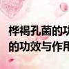 樺褐孔菌的功效與作用及食用方法（樺褐孔菌的功效與作用）