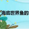 海底世界魚的簡單畫法（魚魚桌面海底世界）