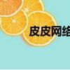 皮皮網絡qq（皮皮網絡連接失敗）
