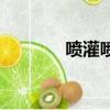 噴灌噴頭型號及參數（噴灌）