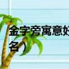 金字旁寓意好的字男孩（金字旁寓意好的男孩名）