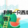 利用一只西瓜大又圓小說（利用一只西瓜大又圓）