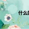 什么的火球?（什么的火球）