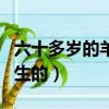 六十多歲的羊是哪一年出生的（羊是哪一年出生的）