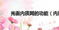 光面內質網的功能(內質網的功能)