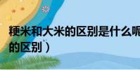 粳米和大米的區別是什么呢圖片(粳米和大米的區別)