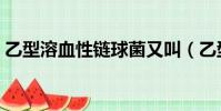 乙型溶血性鏈球菌又叫(乙型溶血性鏈球菌)