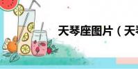 天琴座圖片(天琴座)