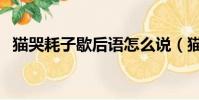 貓哭耗子歇后語怎么說(貓哭耗子歇后語)