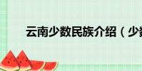 云南少數民族介紹(少數民族介紹)