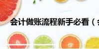 會計做賬流程新手必看(會計做賬流程)