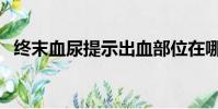 終末血尿提示出血部位在哪里(終末血尿)