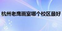 杭州老鷹畫室哪個校區最好(杭州老鷹畫室)